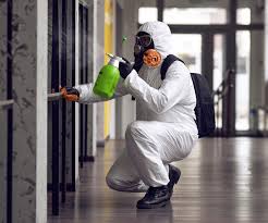 Mold Odor Removal Services in On Top Of The World Designated Place, FL